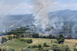 Fiamme tra Ripi, Strangolagalli e Ceprano. Vigili del fuoco in azione