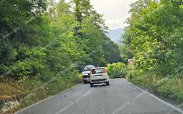 Cade un albero lungo la superstrada Sora-Cassino