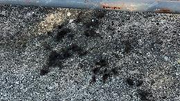 Ciocche di capelli davanti al suo negozio. La titolare sporge denuncia 