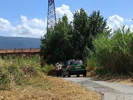 Cinghiali fra la vegetazione vicina alle abitazioni dell'Ater: l'intervento dei carabinieri forestali