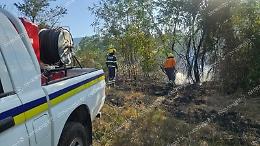 Bosco in fiamme: l'incendio è doloso. Trovati tre inneschi
