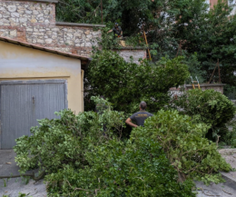 Cade un albero su un condominio. Notte di paura in viale Mazzini