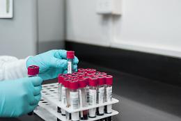 Virus West Nile in Ciociaria: stop alle donazioni di sangue