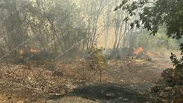 Incendi, territorio sotto attacco. Ettari di vegetazione in fumo e case lambite dalle fiamme