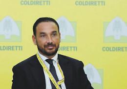 Dazi Usa e Made in Italy: esportazione di vino e olio a rischio