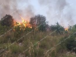 Incendio in località Burano, distrutti ettari di vegetazione