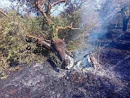 Incendio a Monte Nero, al lavoro senza sosta per spegnere le fiamme