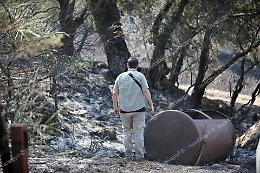 Incendio a Monte Nero. Si contano i danni: uliveti distrutti e cavalli morti carbonizzati