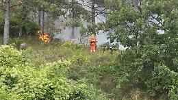 Ancora fiamme alla viglia di Ferragosto: soccorsi al lavoro