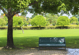 “Un parco urbano nell’area del nuovo stadio”