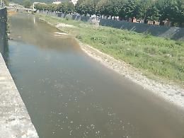 Torna la schiuma nel fiume Liri