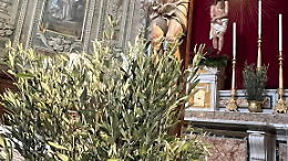 La reliquia di San Carlo Acutis sarà custodita nella chiesa di Santo Spirito
