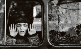 Torna il "Foto Festival"