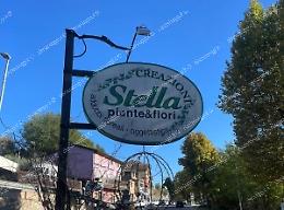 Furto in un negozio di fiori a Ceccano. Rubati soldi e carte