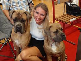 World Cane Corso Monographic 2025 ad Anagni