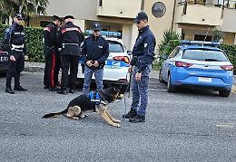 Stretta sui reati: controlli a tappeto a Cassino e Sora