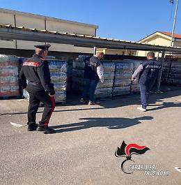 Maxi sequestro dei NAS: smaltiti 300 kg di pesce, formaggi, salumi e acqua
