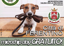 Microchip gratis contro l’abbandono dei cani,  al via la campagna

