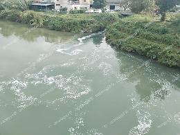 Fiume Fibreno, schiuma bianca e aria irrespirabile. Residenti esasperati 