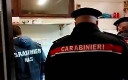 Sporcizia nel locale e attrezzatura unta: panificio sospeso dal N.A.S