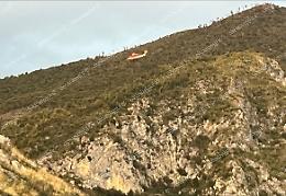 Cane disperso da domenica, ricerche a Monte Cairo