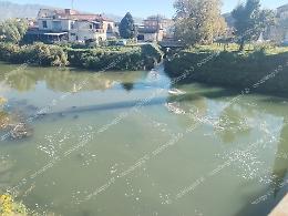 Nuova schiumata nel Fibreno: al lavoro le autorità 