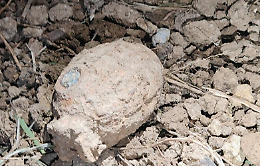 Trovata una bomba a mano inesplosa, evacuata un'abitazione