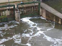 Ancora schiuma sul fiume Sacco