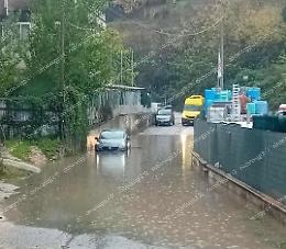 Allagamenti, alberi caduti e crolli: la pioggia causa disagi in tutta la provincia