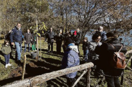 I volontari festeggiano gli alberi e piantano cinque nuovi castagni