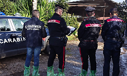 Gravi irregolarità in un’azienda agricola: sospesa l’attività