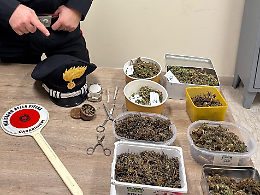 Hashish e marijuana in casa. Denunciato