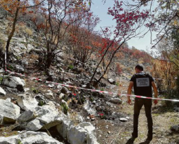 In aumento gli incendi boschivi