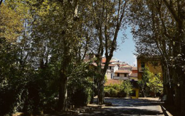 Per la tutela dell'alberata c'&egrave; il Politecnico di Milano 