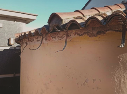 Ladri senza cuore al cimitero