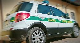 &laquo;Guardie Zoofile? Non volontari ma pubblici ufficiali&raquo;