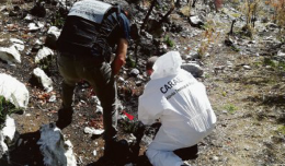 Crescono i reati ambientali 