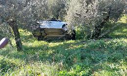 Scontro fra due auto: uno dei veicoli in bilico tra gli ulivi