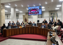 Quindici gruppi a Palazzo