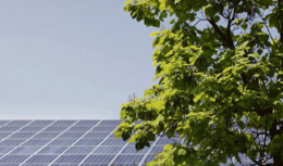 Agricoltura sempre pi&ugrave; green