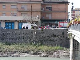 Gattino in pericolo nei pressi del fiume Liri. Arrivano i vigili del fuoco