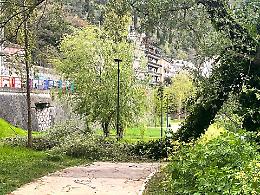 Vento forte, caduto un grosso ramo nella villa comunale