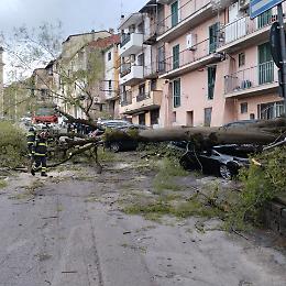 Raffiche di vento, disagi e danni