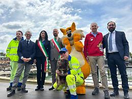 A MagicLand nasce DogLand