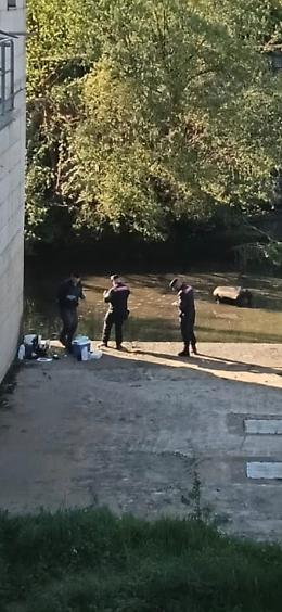 Schiuma nel fiume Sacco. Forte odore nei pressi della cascata