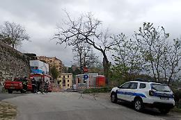 Crolla un cipresso nel cantiere dei parcheggi&nbsp;lungo la circonvallazione Sud