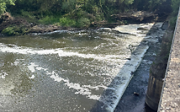 La schiuma nel fiume Sacco uccide i pesci e fa paura