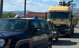 Albero trasportato da un camion aggancia i cavi elettrici: pali divelti