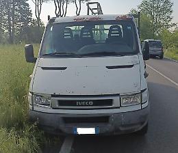 Un daino sbuca all'improvviso e viene travolto: paura per un autista