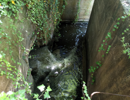 Fiume Sacco, sulle tracce degli inquinatori